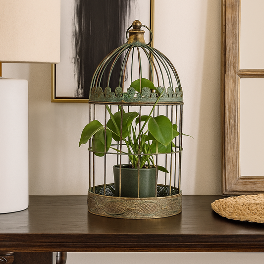 Decorative plant in a birdcage on a wooden table with a lamp and mirror in the background.