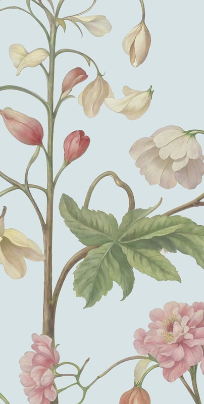 Arboretum Wallpaper Mural