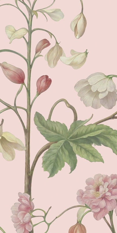A room with wallpaper featuring a botanical garden design, including trees and floral patterns.