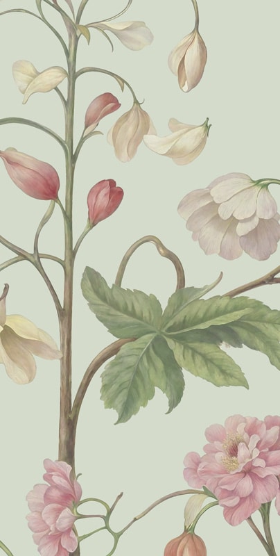 Arboretum Wallpaper Mural