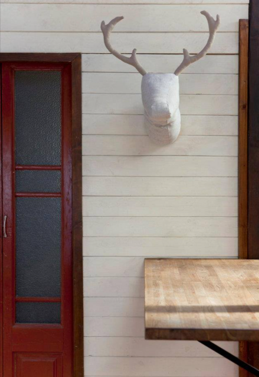 Softhead deer wall mounted trophy on wooden wall