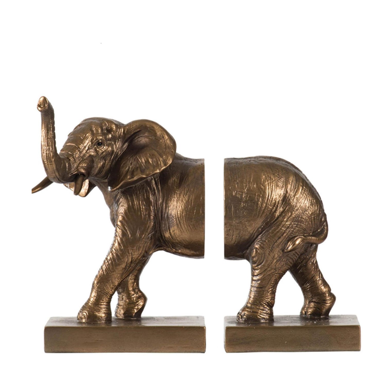 Bronze elephant bookends on a white background