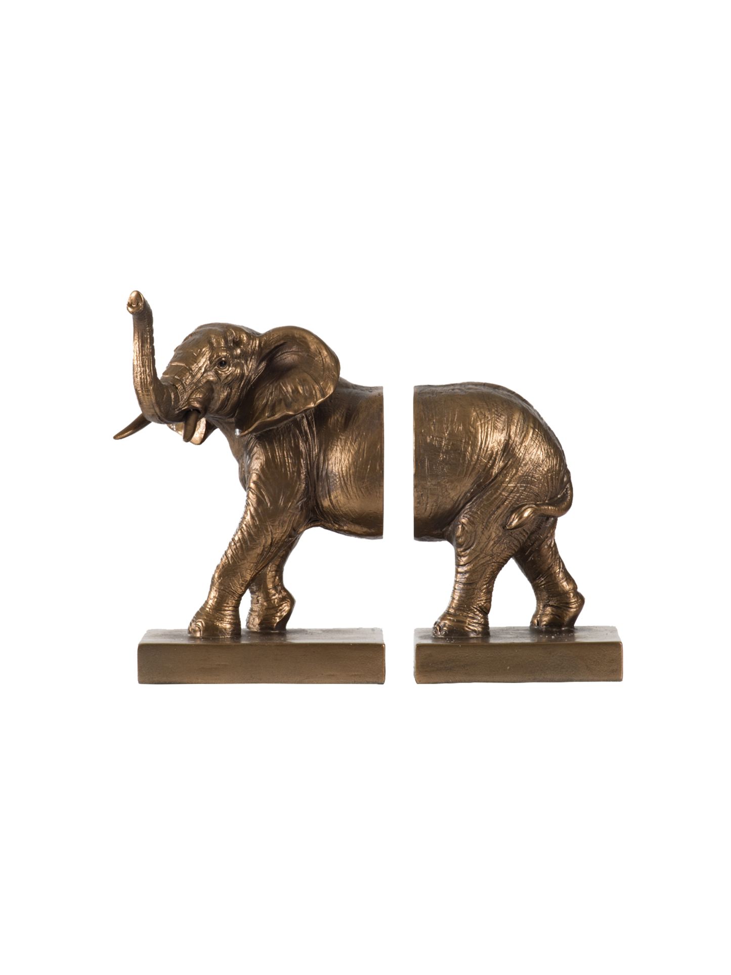 Bronze elephant bookends on a white background