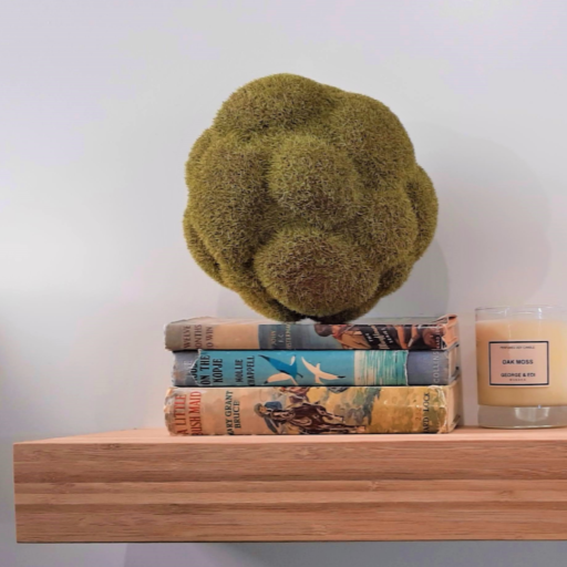 Bamboo shelves with 3 books on their side with a weird bubble of moss sitting on top
