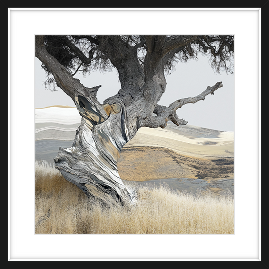 Gracefully Twisted art print in white frame by Steve Ballantyne
