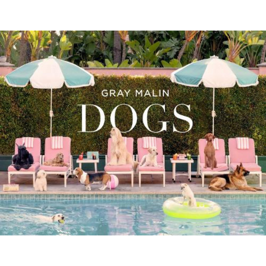Pampered pooches in this coffee table book called Dogs by Gray Malin