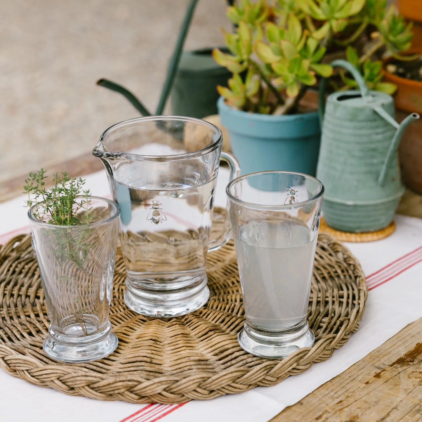 Clear glass pitcher and cups on a woven mat with plants in the background