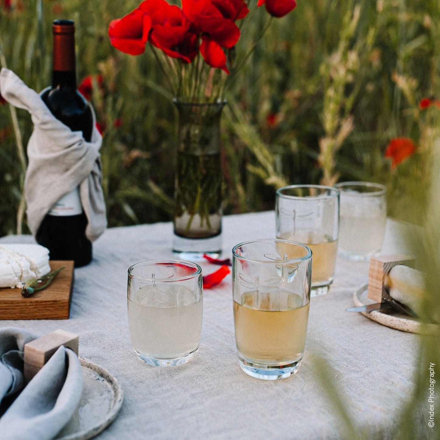La Rochere Dragonfly Tumbler