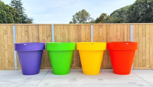 Four colorful plant pots (purple, green, yellow, red) lined up against a wooden fence.