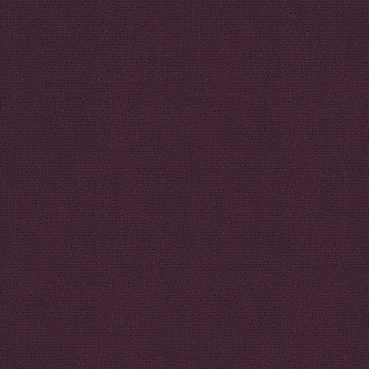Palazzo Gangi Silk Velvet