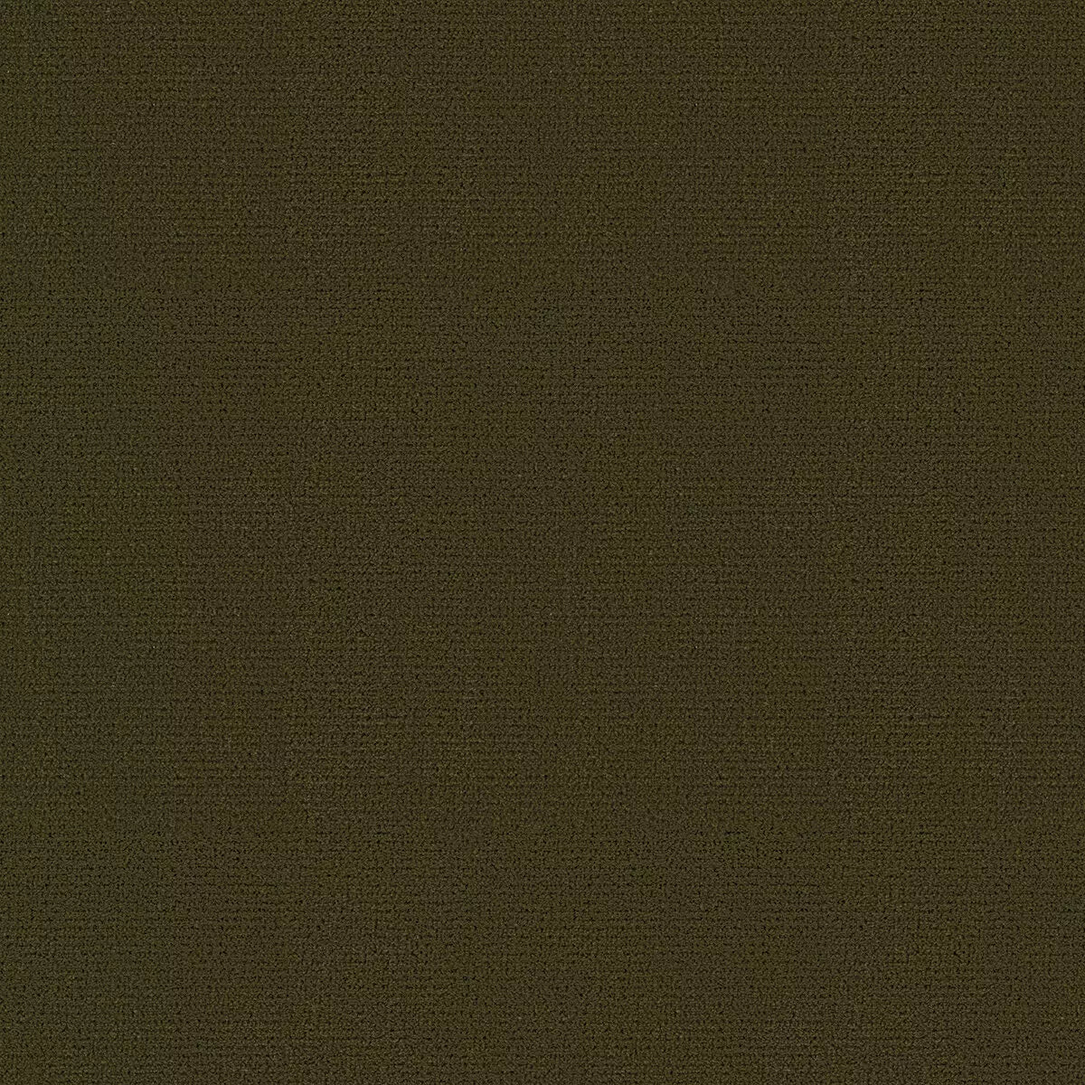 Palazzo Gangi Silk Velvet