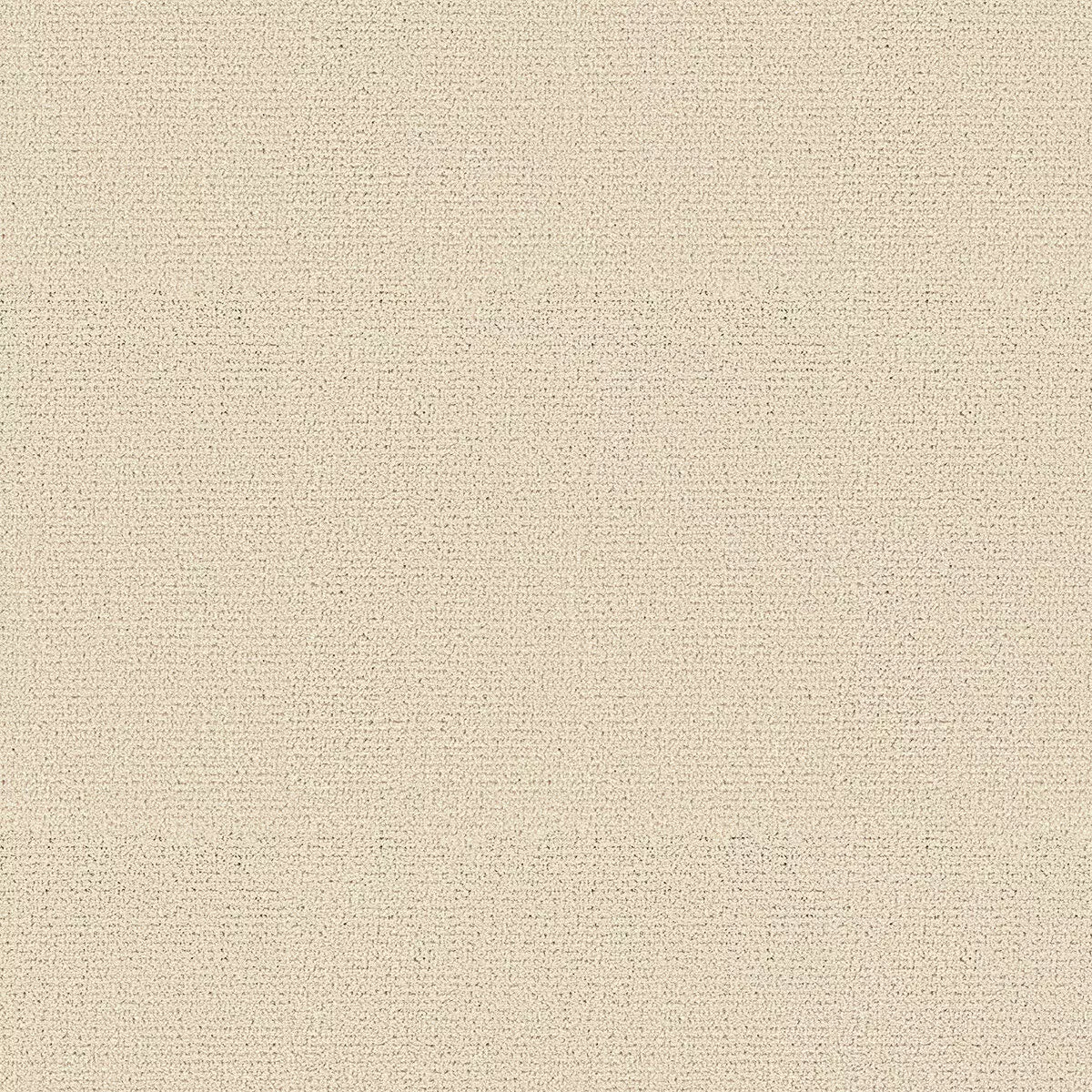 Palazzo Gangi Silk Velvet