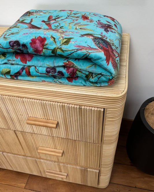 Bird of Paradise Velvet Throw - Sky Blue