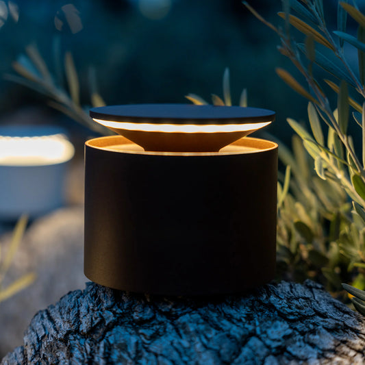 Black outdoor lamp on a tree stump with plants in the background