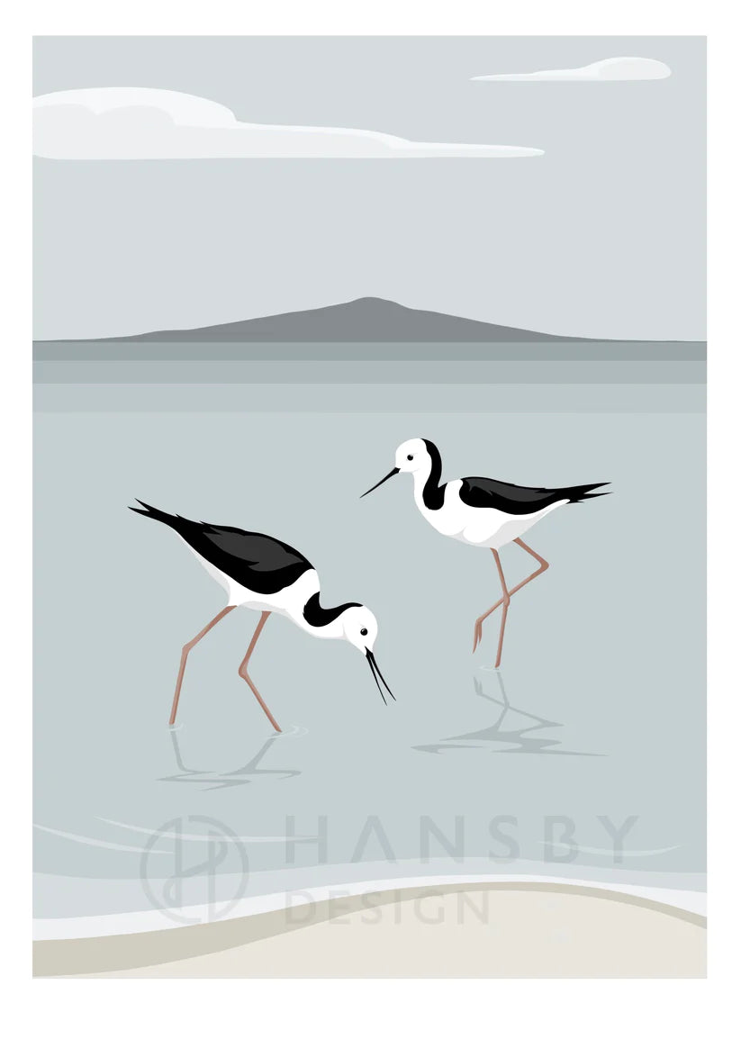 Pied Stilts by Rangitoto Art Print