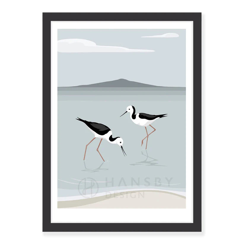 Pied Stilts by Rangitoto Art Print