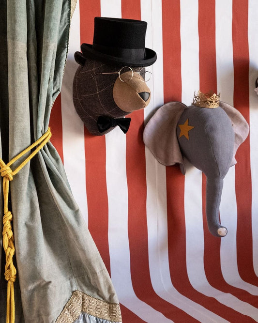 Softheads - Bear Marcelo