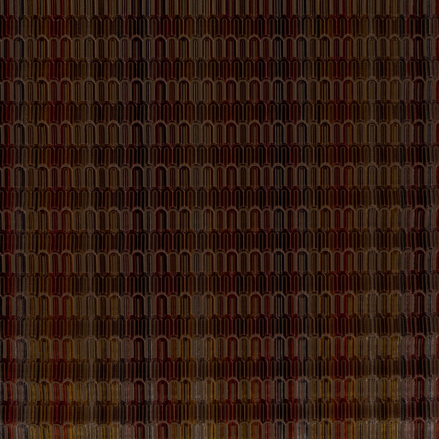 Time Traveller Fabric - Carlucci