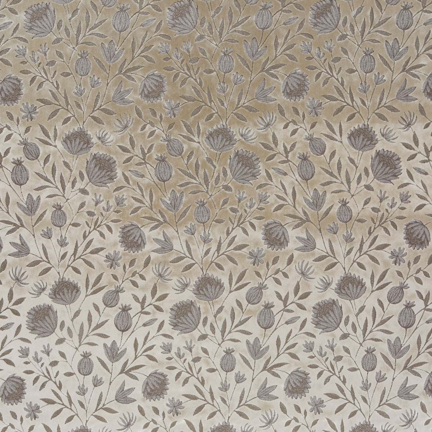 Tomorrowland Fabric - Carlucci