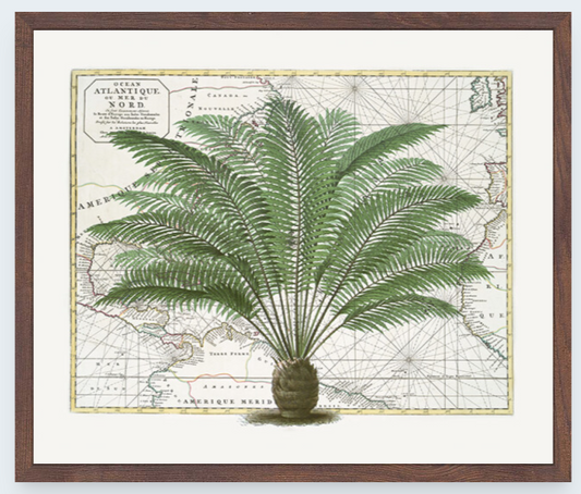 Tropical Empire 5 Art Print - Andrea Haase