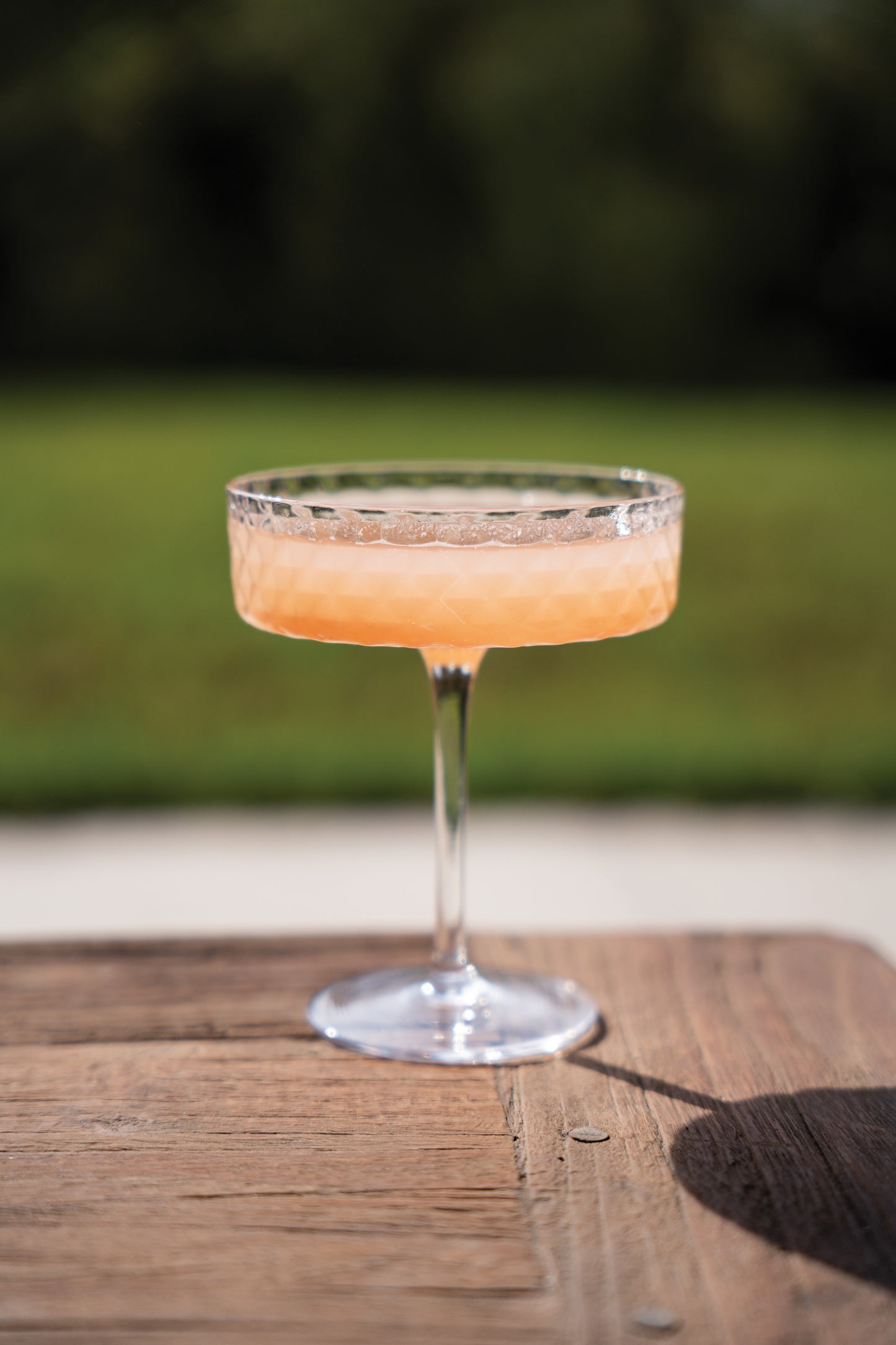 Veneziano Mixology Champagne Goblet - Zafferano