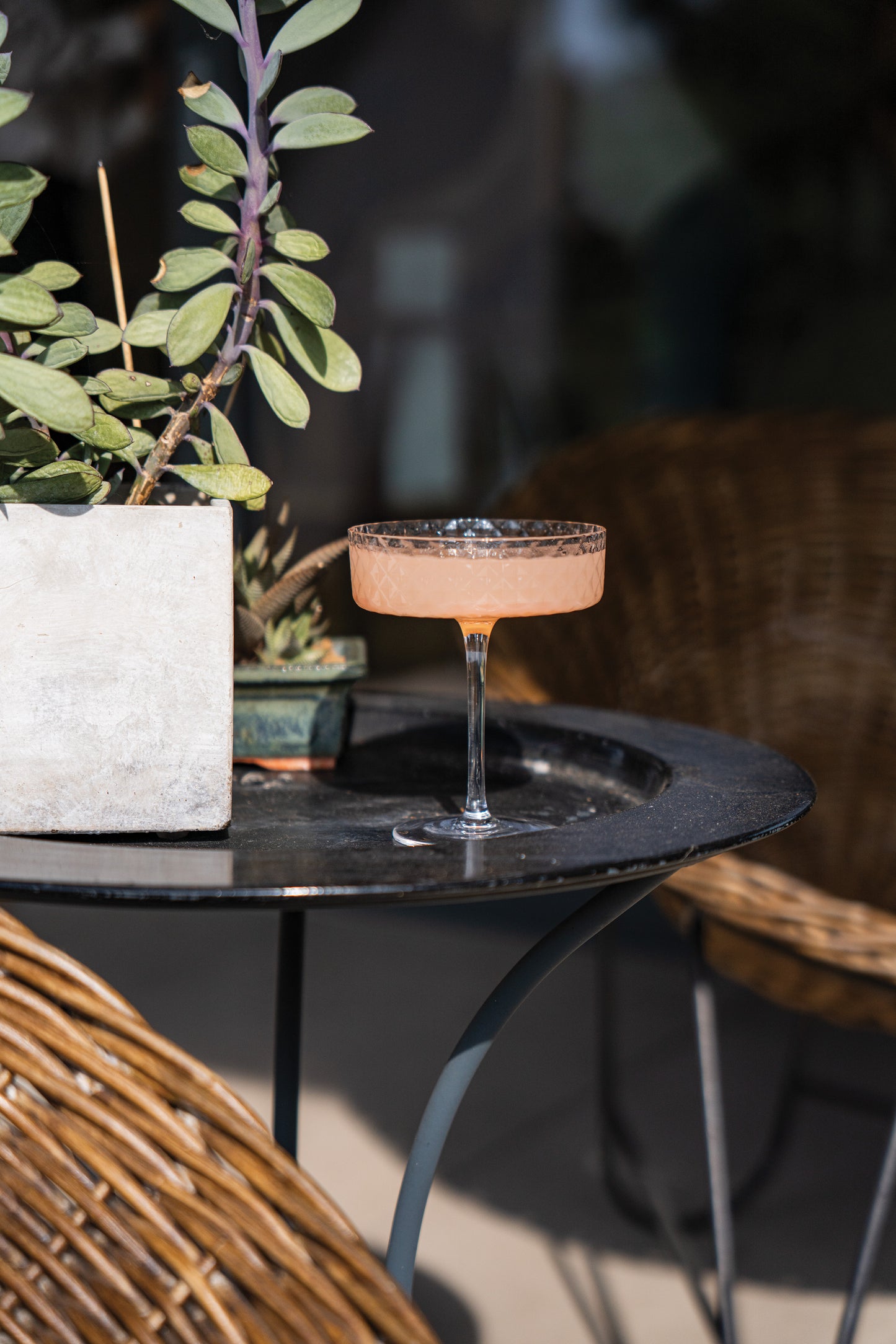 Veneziano Mixology Champagne Goblet - Zafferano