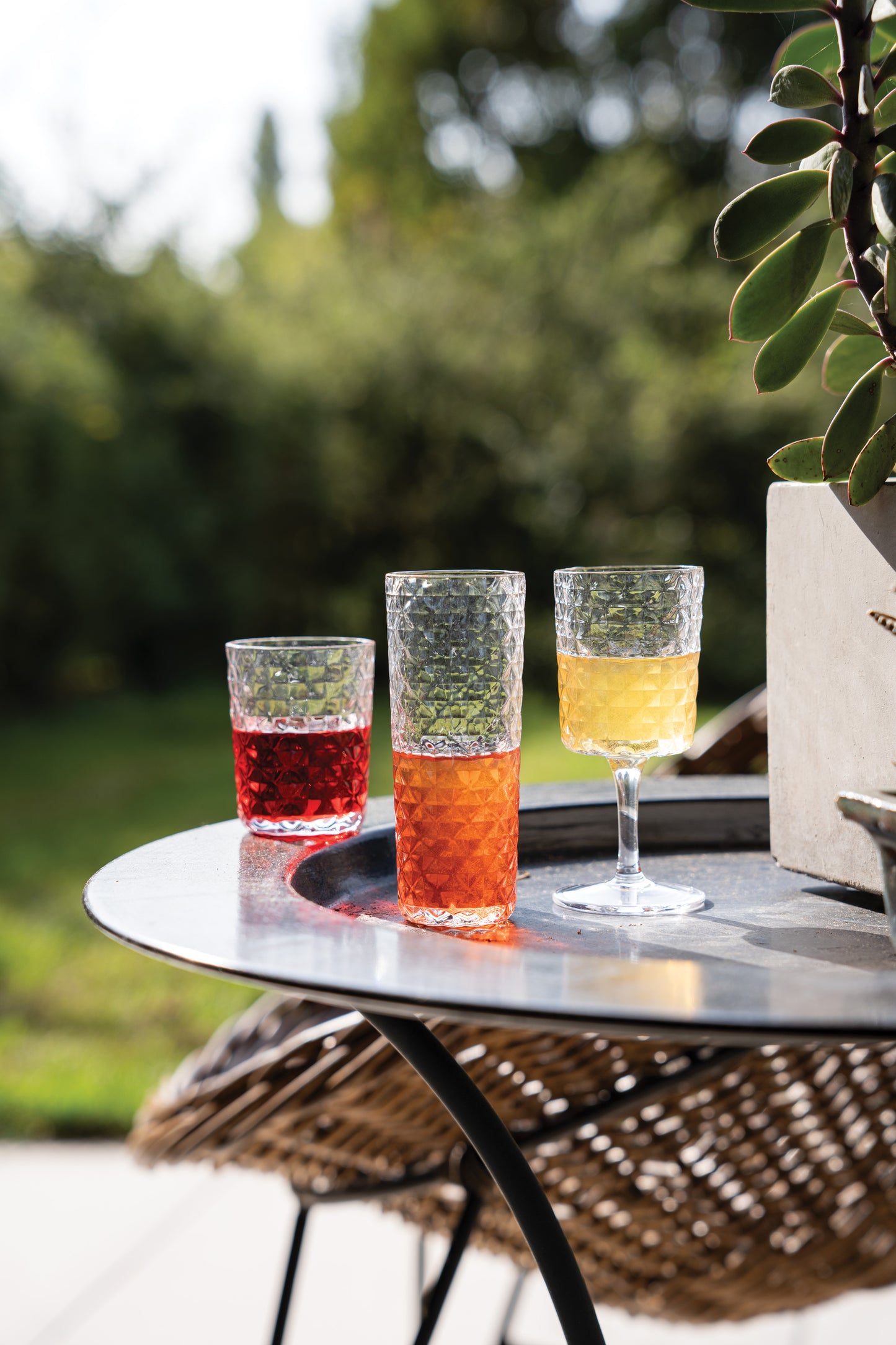 Veneziano Mixology Tumbler - Zafferano