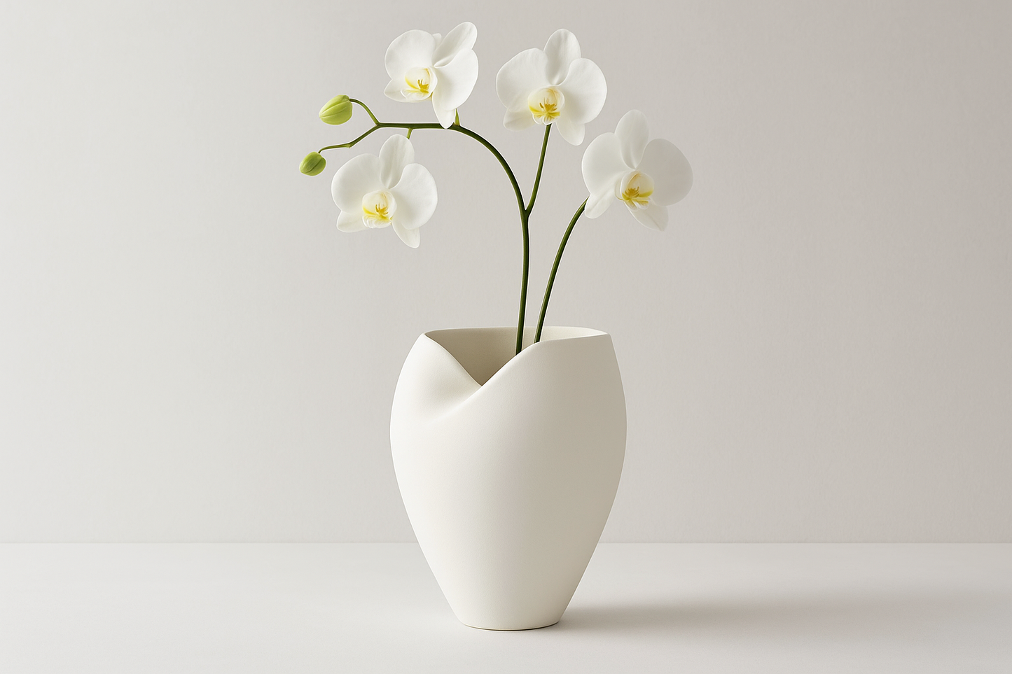 Guan White organic vase with tall orchid stems