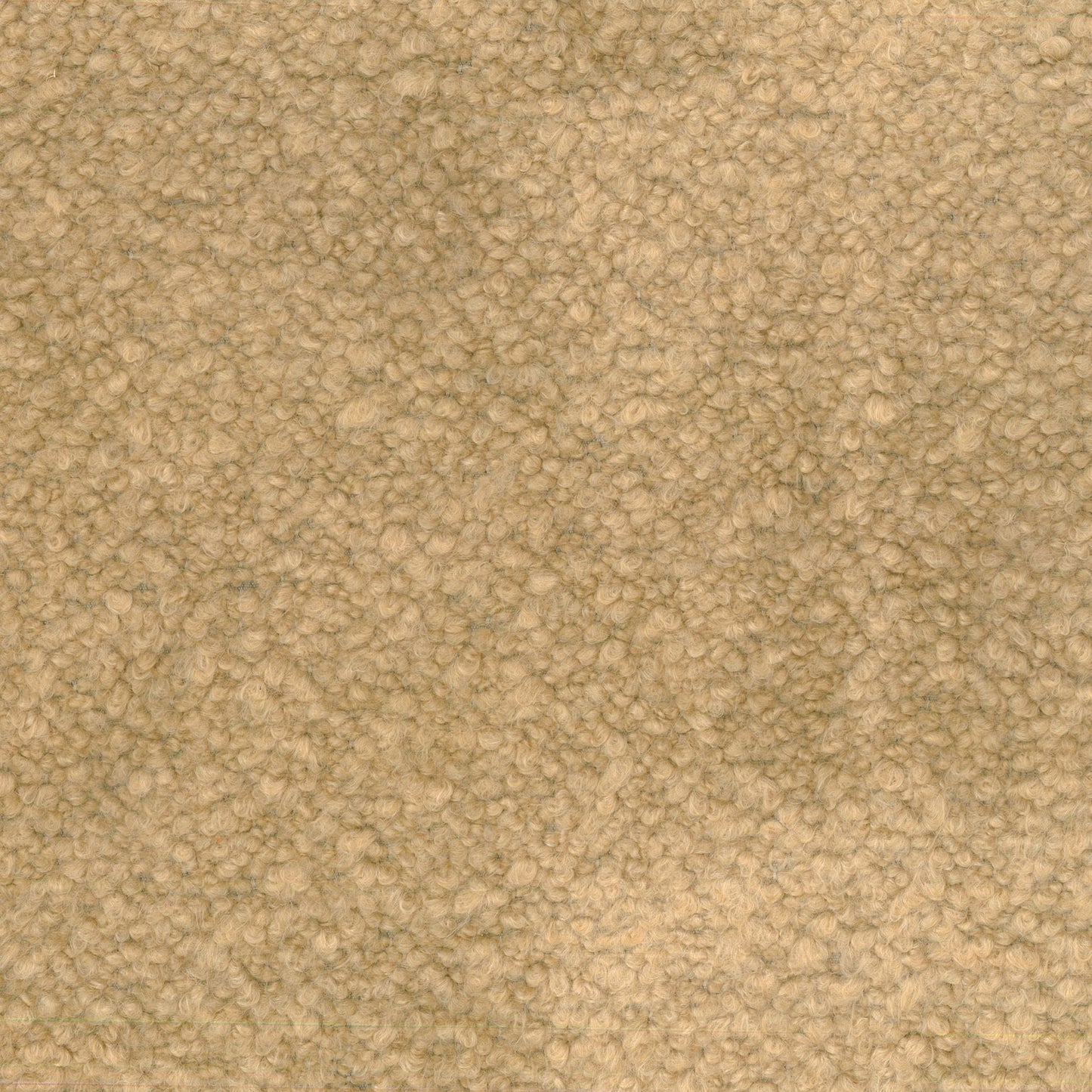 Fabio Boucle Fabric from Warwick Fabrics in Buff