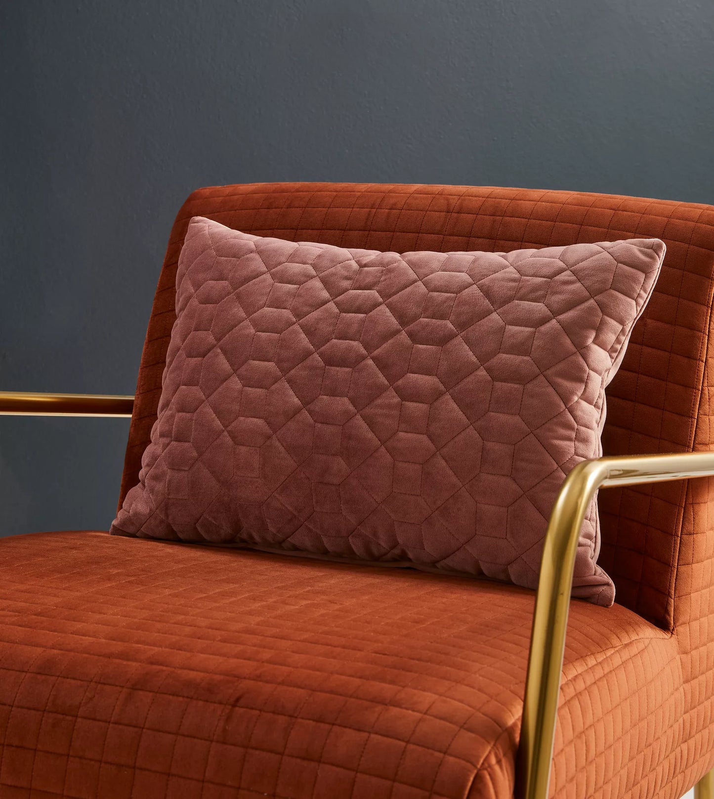 Pollex Fabric - Warwick Fabrics