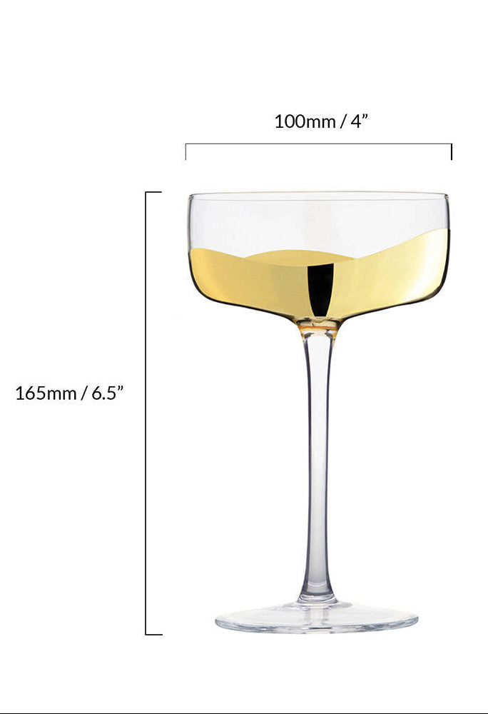 champagne glass with measurements and capacity details on a white background