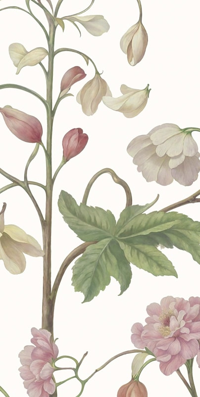 Arboretum Wallpaper Mural