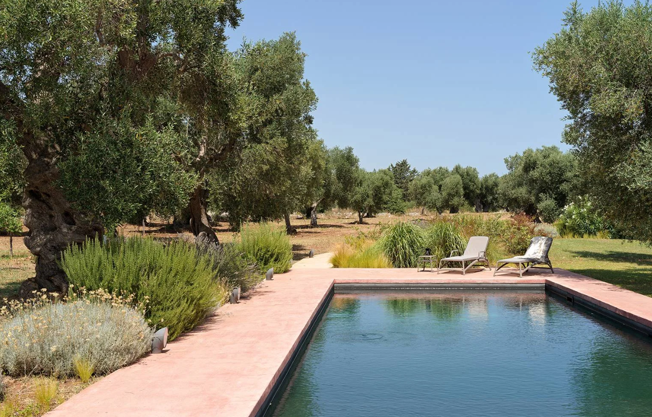Pool area with lounge chairs, trees, and shrubs on a sunny day