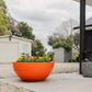 Orange planter with yellow flowers on a patio area with a house and trees in the background.