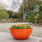 Orange planter with flowers on a stone surface, outdoor setting with trees and rocks.