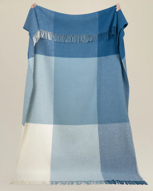 Blue checkered blanket with fringed edges on a beige background