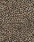 Leopardo Fabric - Catherine Martin by Mokum