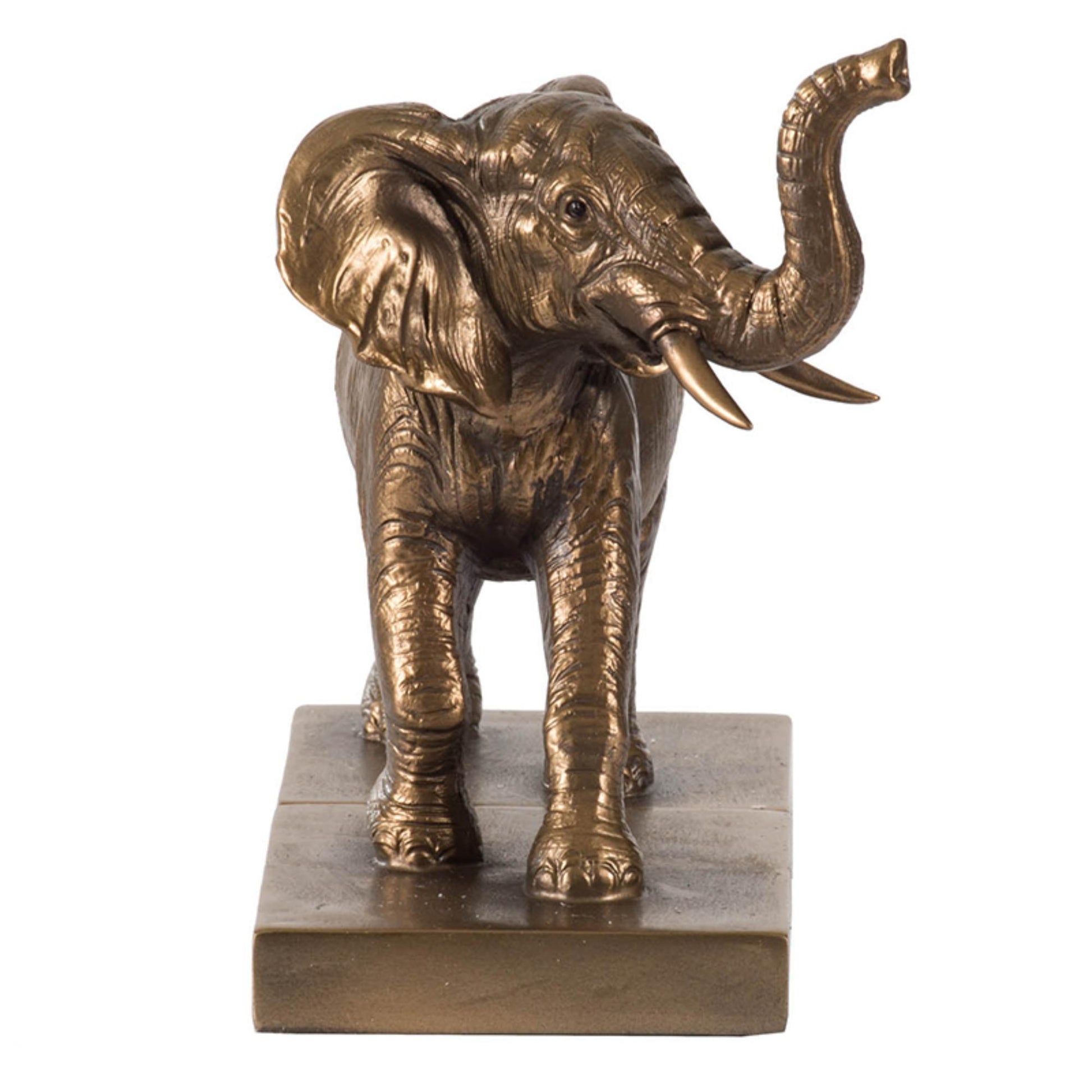 Bronze elephant statue on a white background