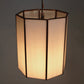 Hexagonal pendant light with a white shade on a dark background