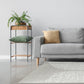 Gray sofa with a plant and pillows in a minimalistic living room