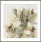 Framed artwork of beige flowers on a light background