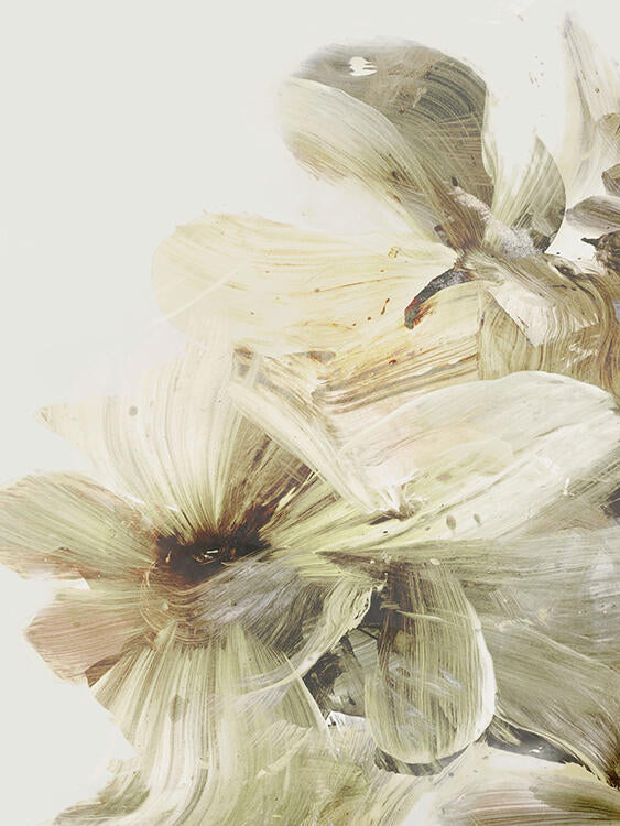 Close-up of a flower with a white background