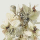 Hill Flowers Art Print - Dan Hobday