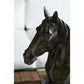 Horse Head Sculpture