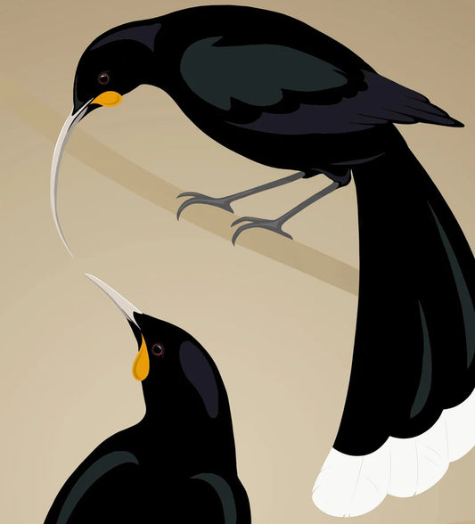 Huia Art Print