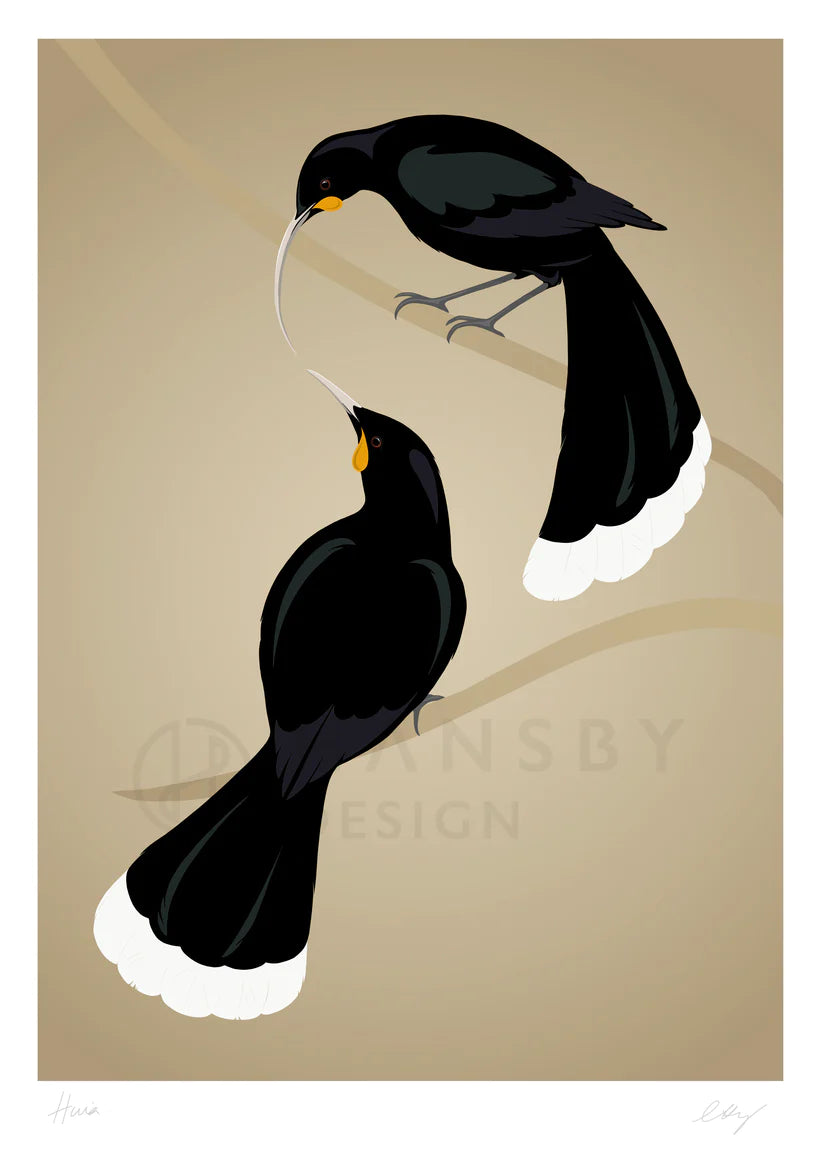 Huia Art Print