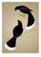 Huia Art Print