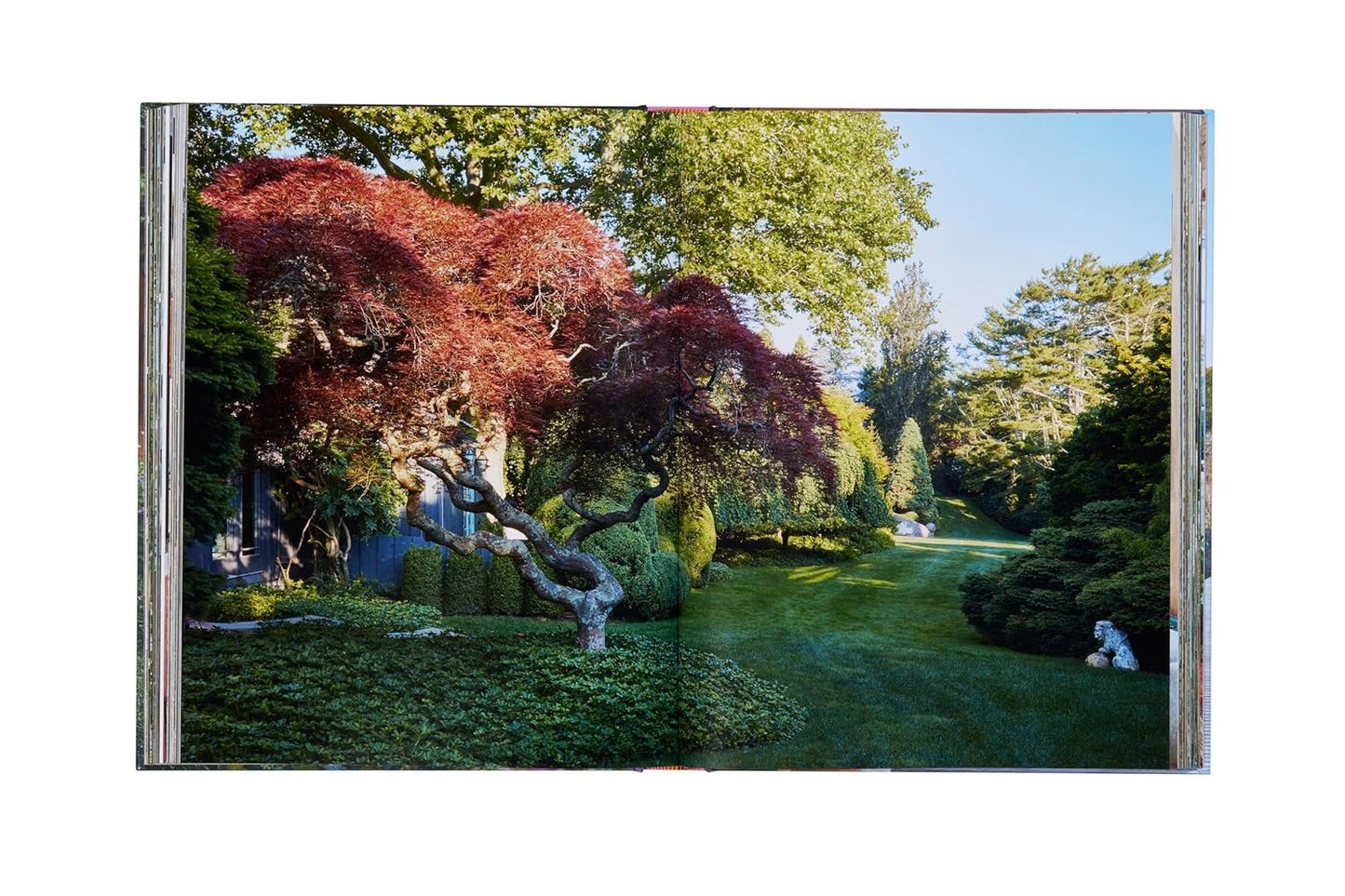 Inside the Hamptons - Jennifer Ash Rudick