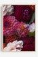 Joy Spilling Dahlia - Floral Wall Art