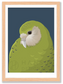 Kakapo Baby Art Print